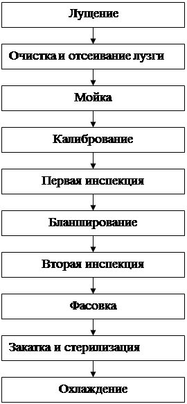 Технологическая карта зеленый горошек консервированный